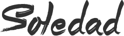 Dubai News Portal