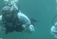 Уште еден безобразен напад на исламот и припадниците на исламската вероисповест.