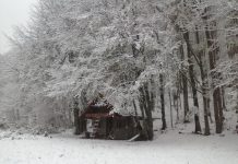 Од зимската идила и првиот снег на Подгоречката планина. ( Фото)