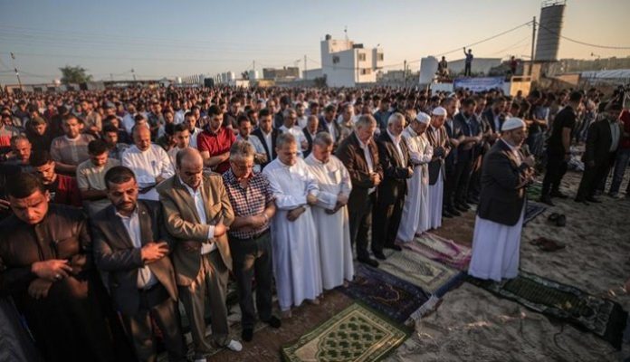 gaza