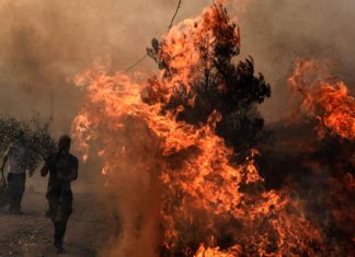 Грција бара меѓународна помош за пожарите, 6 лица со изгореници пренесени во болница