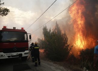 (Фото/Видео) Апокалиптични сцени од Грција: Бројот на настрадани се зголемува, луѓето панично бегаат во морето