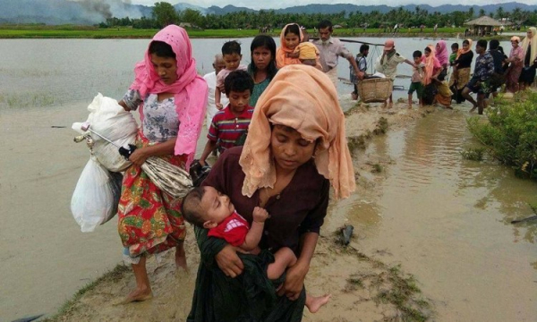 rohingja