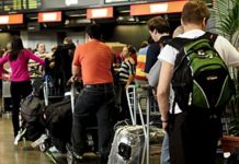 НВО секторот препорачува 700 евра плата да се намали одливот на мозоци