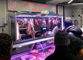 Белгија: Евреите и муслиманите разочарани од забраната за колење животни