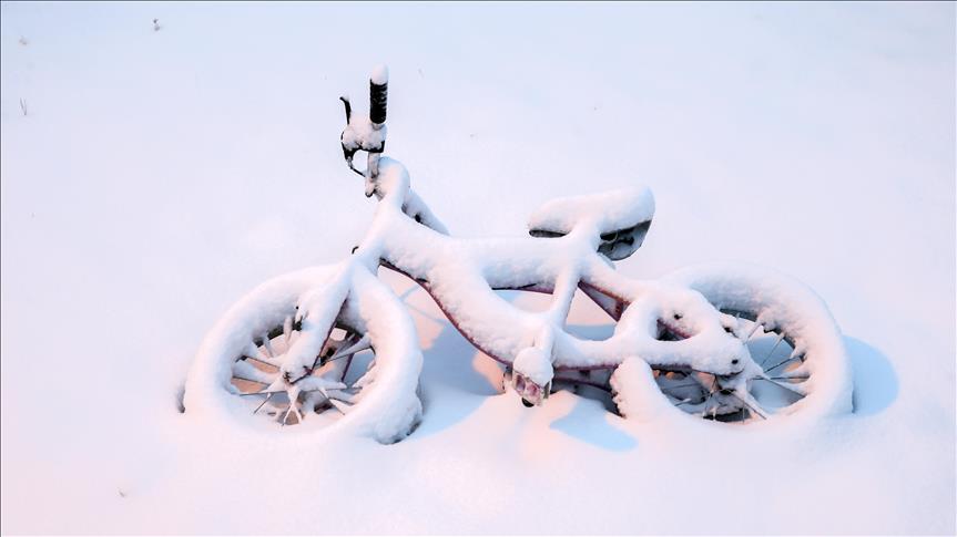 velosiped-sneg