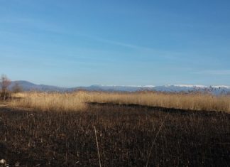 (ФOTO) Еко патрола на струшката страна на езерото, запалена трска, тампонирани плажи