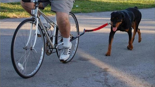 K9-Cruiser-Leash-1