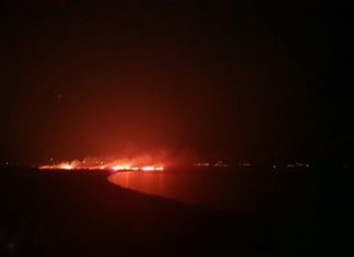 Пожар во Преспа, зафатен е дел и од „Галичица“