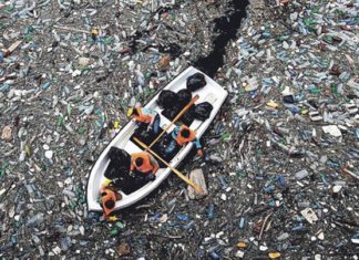 Секојдневно преку Дунав во Црно Море се влеваат 4,2 тони пластика