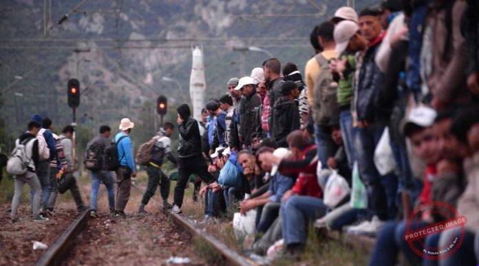 Migranti1-1000x555