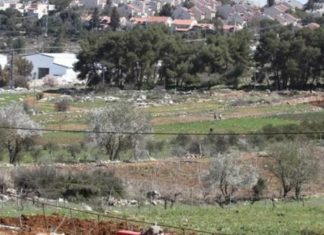 Изрел заплени повеќе од 2.500 м2 Палестинска земја