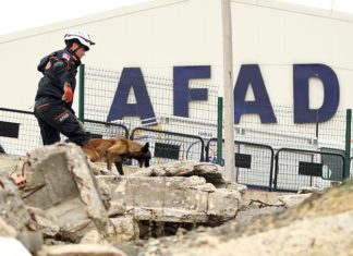 Турција: АФАД испраќа екипи во Албанија за помош по земјотресот