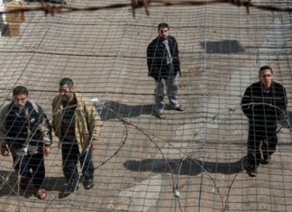 Извештај: Во Јануари, израелските окупаторски сили уапсија 496 Палестинци