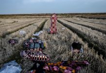 Еврос: „Денеска мирно на грчко-турската граница“