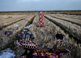 Еврос: „Денеска мирно на грчко-турската граница“