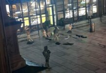 Виена: Се појави видео од апсењето на напаѓачите, а се чека и потврда од полицијата