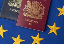 Земјите од ЕУ во 2019 година, доделиле државјанства на над 700.000 луѓе