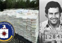 Синот на Пабло Ескобар: „Татко ми продаваше кокаин за ЦИА, да ја финансира борбата против комунизмот, во Централна Америка“