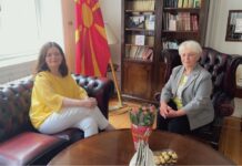 Се разговара за признавање на македонските возачки во Шведска