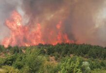 Активни 10 пожари во моментот во Македонија, повлечени хеликоптерите од Пехчевско