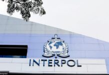 Интерпол утре ќе избира претседател, двајца кандидати, од кои едниот е обвинет за тортура