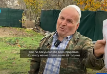 Им се закануваат и ги сечат дрвата, крадците го обесшумуваат селото Грачани