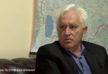 Хусеини: „Ако возилото немало дозвола за транспорт, требало да го вратат на Царина…“