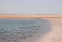 Саудиска Арабија: Германска компанија го доби првиот договор за најголемиот светски проект за зелен водород