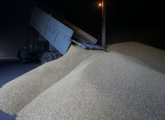 Украинците ги обвинија Русите дека украле стотици илјади тони жито