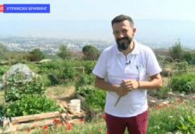 / Видео / Д-р Митов: „Градината значи здрава храна и редовна физичка активност“