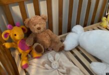 Наталитетот е во слободен пад