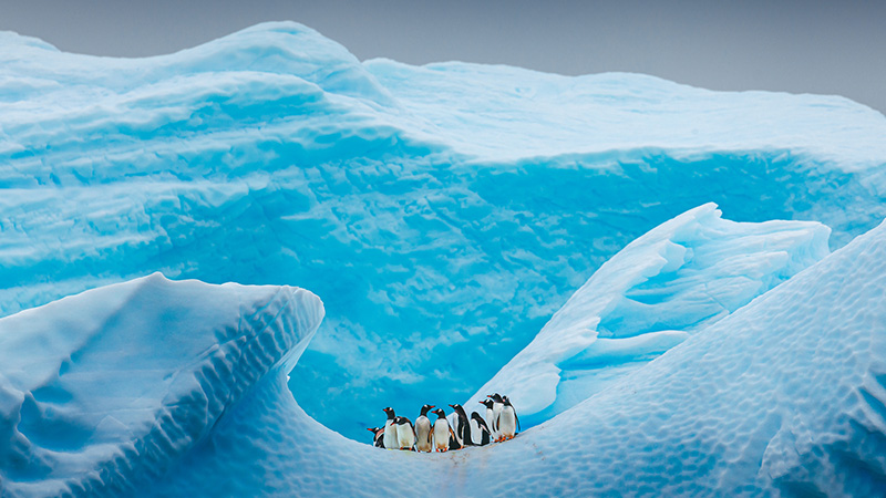 GettyImages-1276386751