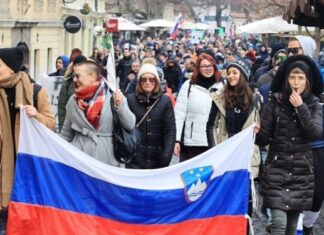 Има ли шанси новите прописи во Словенија да не стапат на сила? Промена на фирма при првата виза и укинување на познавање јазик