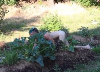 Зелена скандалозна перверзија – Голи уметници со секс играчки пред деца