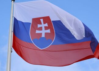 Проруски политичар победи на парламентарните избори во Словачка