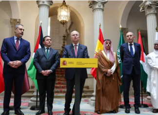 Шефот на турската дипломатија ги повика останатите членки на ЕУ да ја признаат Палестина како држава