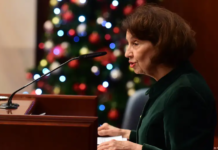 Сиљановска Давкова: ЕУ е наш дом