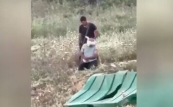 Протече снимка од израелско изживување на палестински земјоделец, додека на Израел му аплаудираат на „Газовизија 2026“.